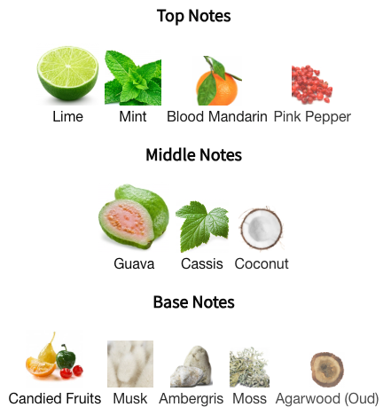 Memoirs Of A Perfume Collector Tales from Zanzibar