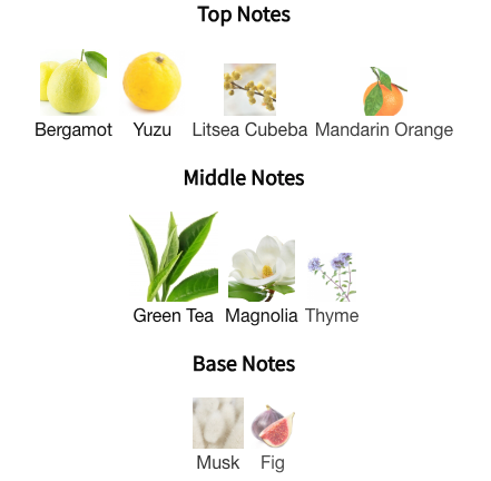 Nishane Wulong Cha X