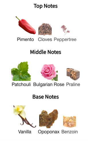 The Harmonist Hypnotizing Fire