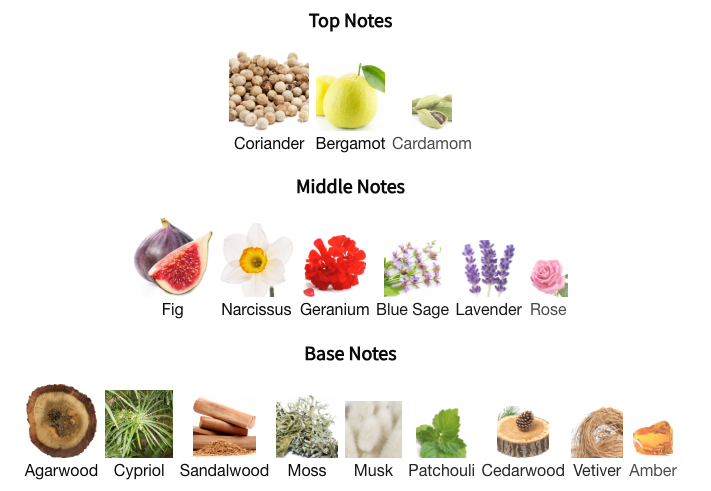 Memoirs of a Perfume Collector Atlantic Fig