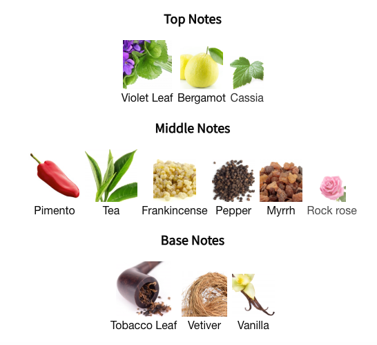 City Rhythm Manhattan Midnight