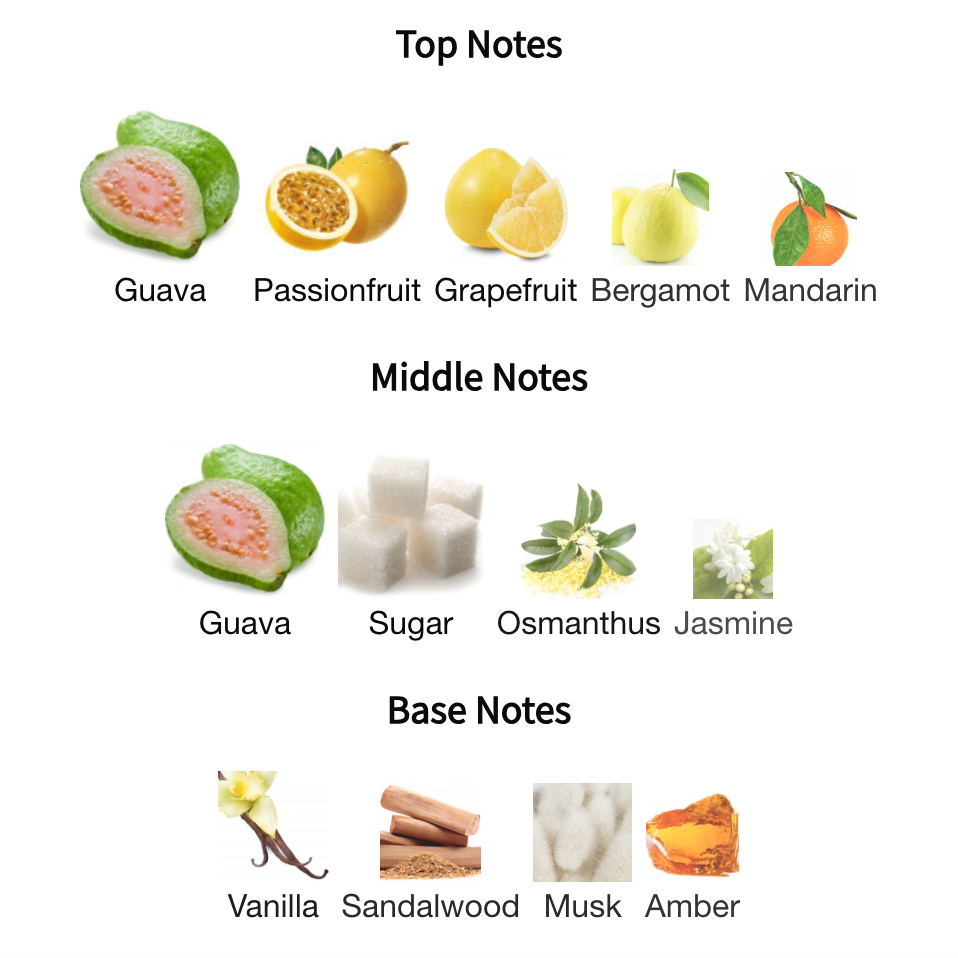 Brandt Guava Sorbet
