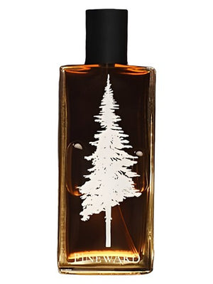 Pineward Perfumes Lime Cola