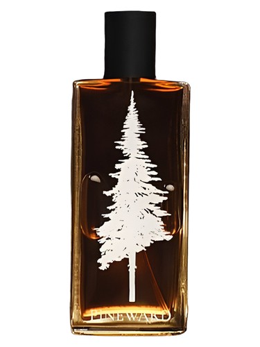Pineward Perfumes Lime Cola