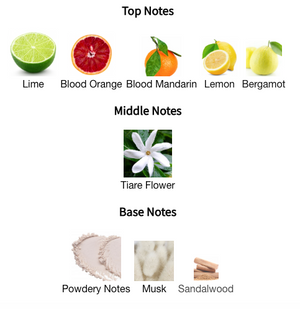 Louis Vuitton - City of Stars