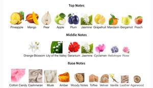 Roja - Aoud Extraordinaire