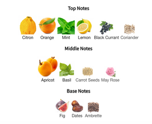 Louis Vuitton - Pacific Chill