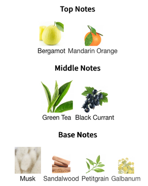 Creed Silver Mountain Water