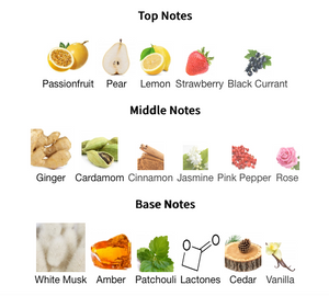 New Notes Cocktail Maracuja