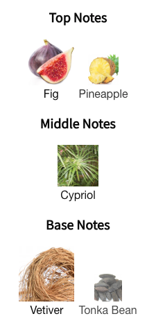 Guerlain - Vetiver Fauve