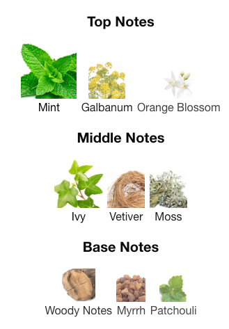 Amouage Beach Hut Man