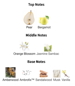 Ex Nihilo Blue Talisman Extrait