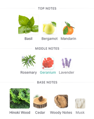 Dries Van Noten Crazy Bazil