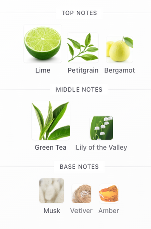 d'Annam - Monsoon Tea