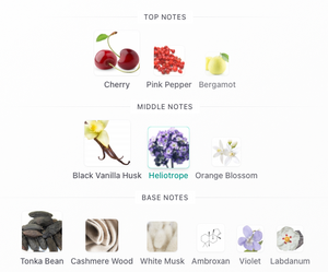 BDK - Rogue Smoking EDP