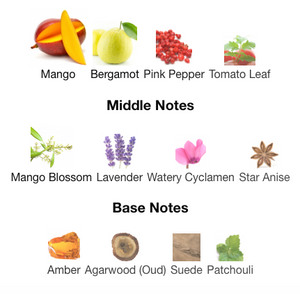 Mind Games - Blockade