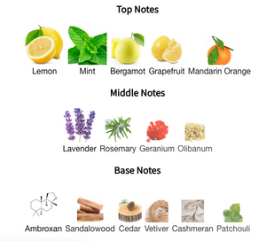 Parfums De Marly - Sedley