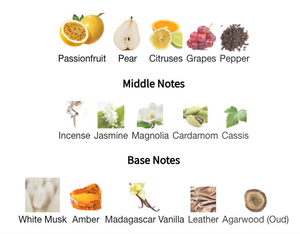 Lorenzo Pazzaglia - Pax