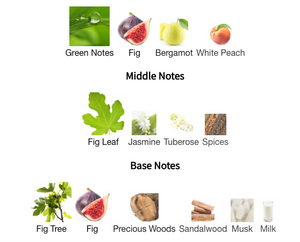 Lorenzo Pazzaglia - Adam Eve's Dress