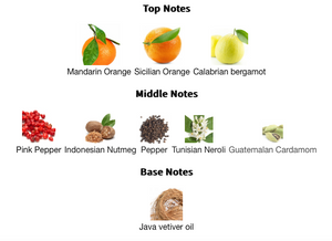 Louis Vuitton - Meteore