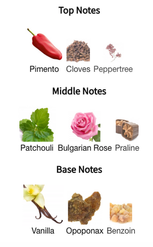 The Harmonist - Hypnotizing Fire