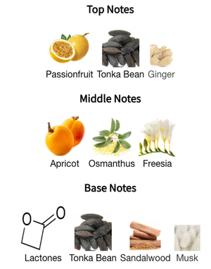 Mind Games - Lionora