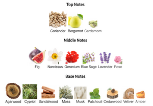 Memoirs of a Perfume Collector - Atlantic Fig