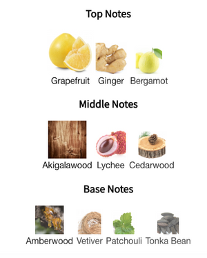 Ex Nihilo The Hedonist Extrait