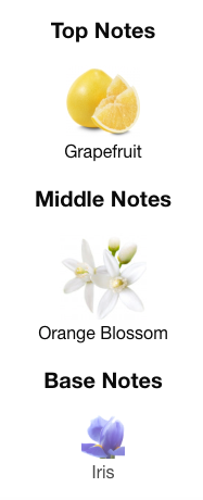 Floraiku - First Dream of the Year