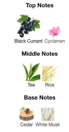 Floraiku - One Umbrella For Two