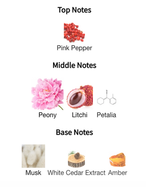 Ex Nihilo - Lust in Paradise