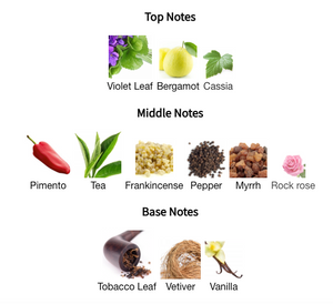 City Rhythm - Manhattan Midnight