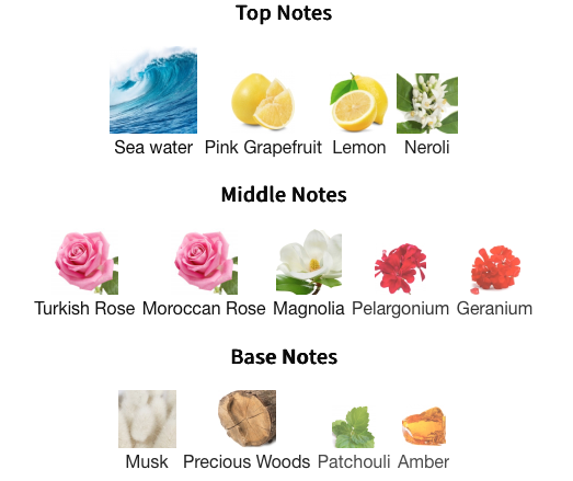 New Notes Queen of the Sea