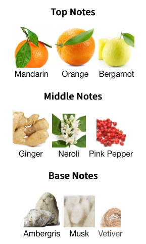 Rayhaan - Adonis Icarus