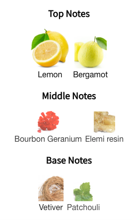 Hugo Boss Bottled Bold Citrus