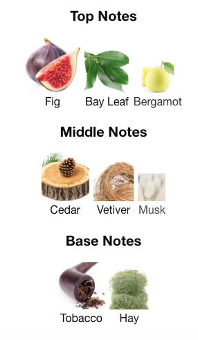 Le Labo - The Noir 29