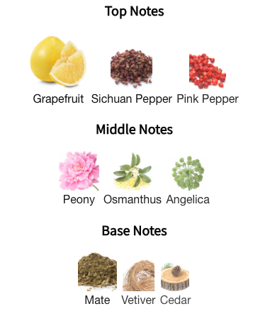 Atelier Materi Poivre Pomelo