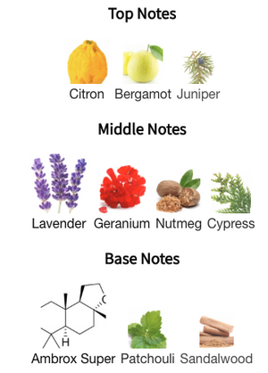 Parfums De Marly - Valero