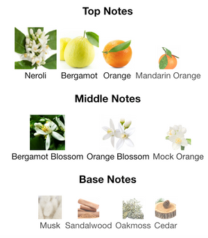 Thomas Kosmala - No.1 Tonic Blanc