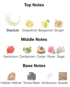 House of Cosmo Polaris