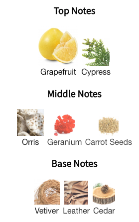 Dries Van Noten Bitter Splash