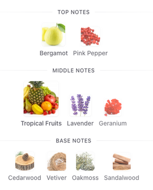 Francesca Bianchi The Code of Emotion