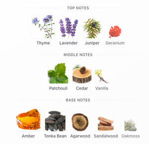 Fornasetti Immaginazione