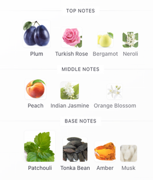 Ormaie Yvonne Extrait