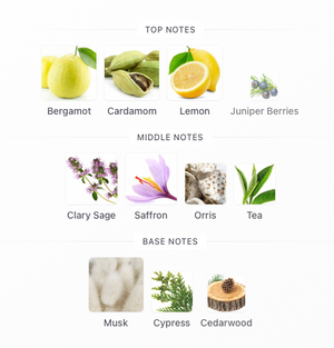 Argos - Jupiter's Lightning