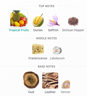 Pernoire - Oudian (Only 1 Available)