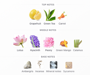 MITH Philosophy of Zen