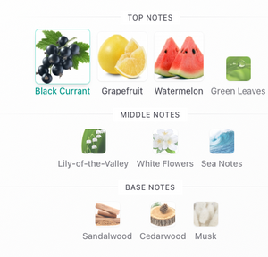 MITH Moonlight on the Chao Phraya River