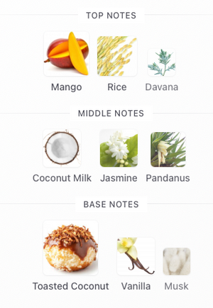 MITH Mango Sticky Rice