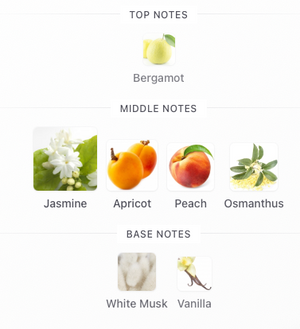 Dior Jasmine Des Anges